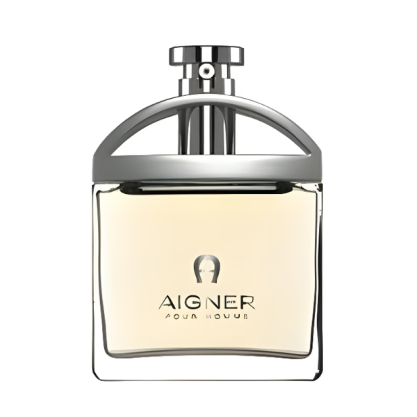 Aigner Pour Homme EDT For Men 100ML